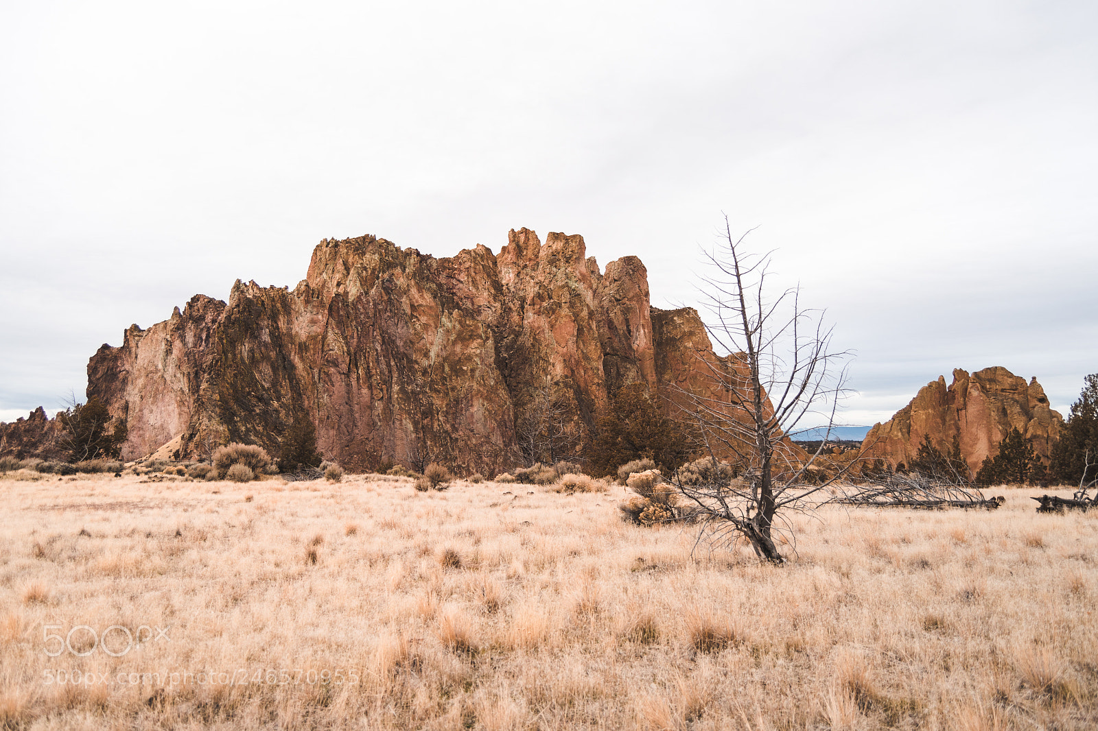 Nikon D500 sample photo. Welcome to the rock. photography