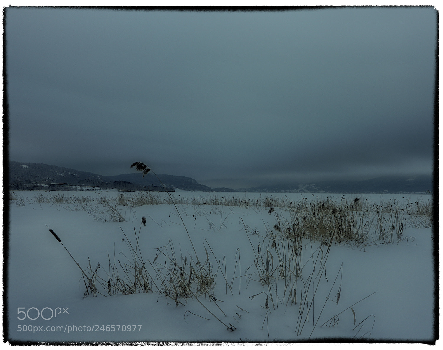 Canon EOS 7D Mark II sample photo. Gulhaug photography