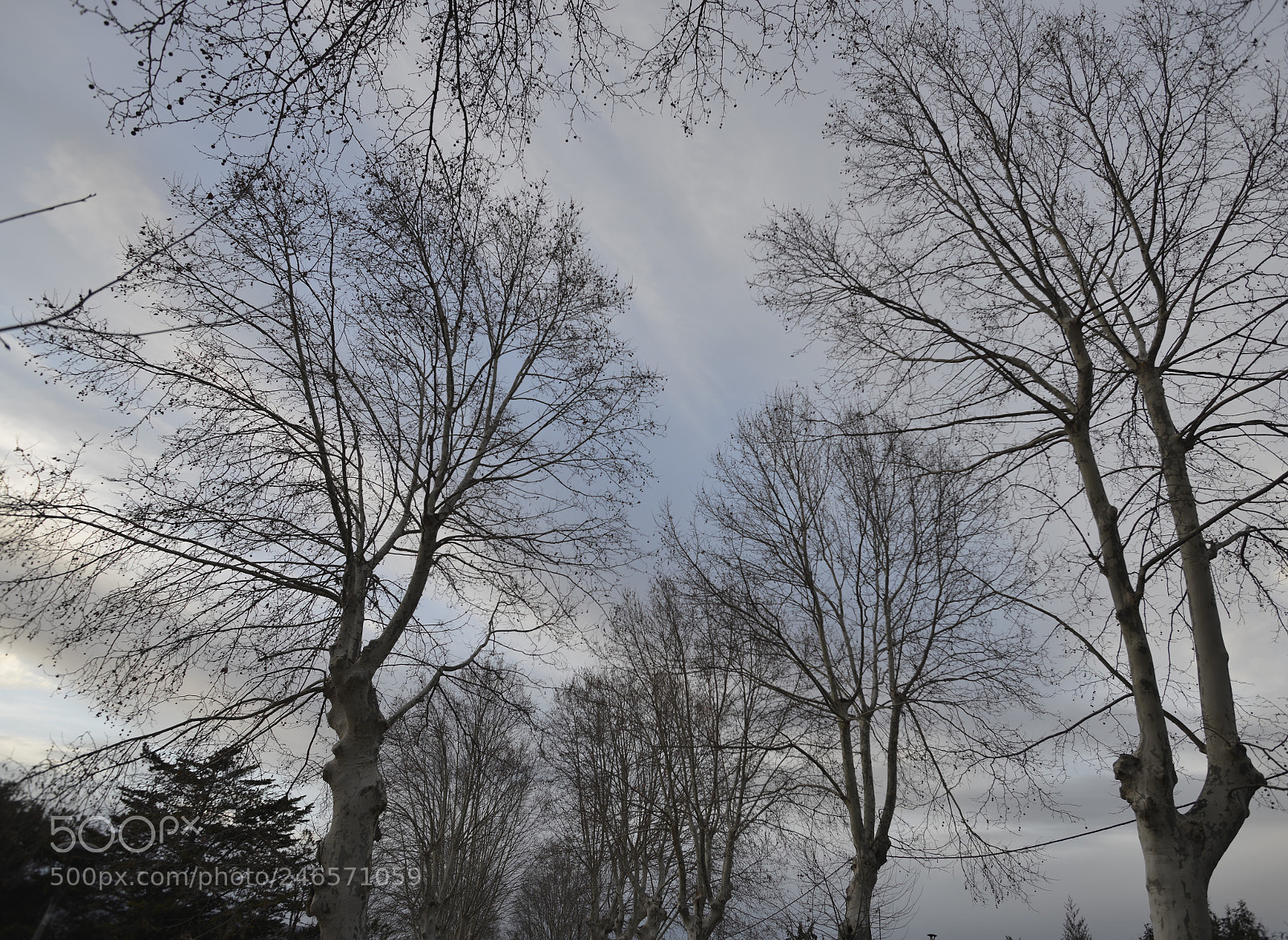 Nikon D800 sample photo. Untitled photography