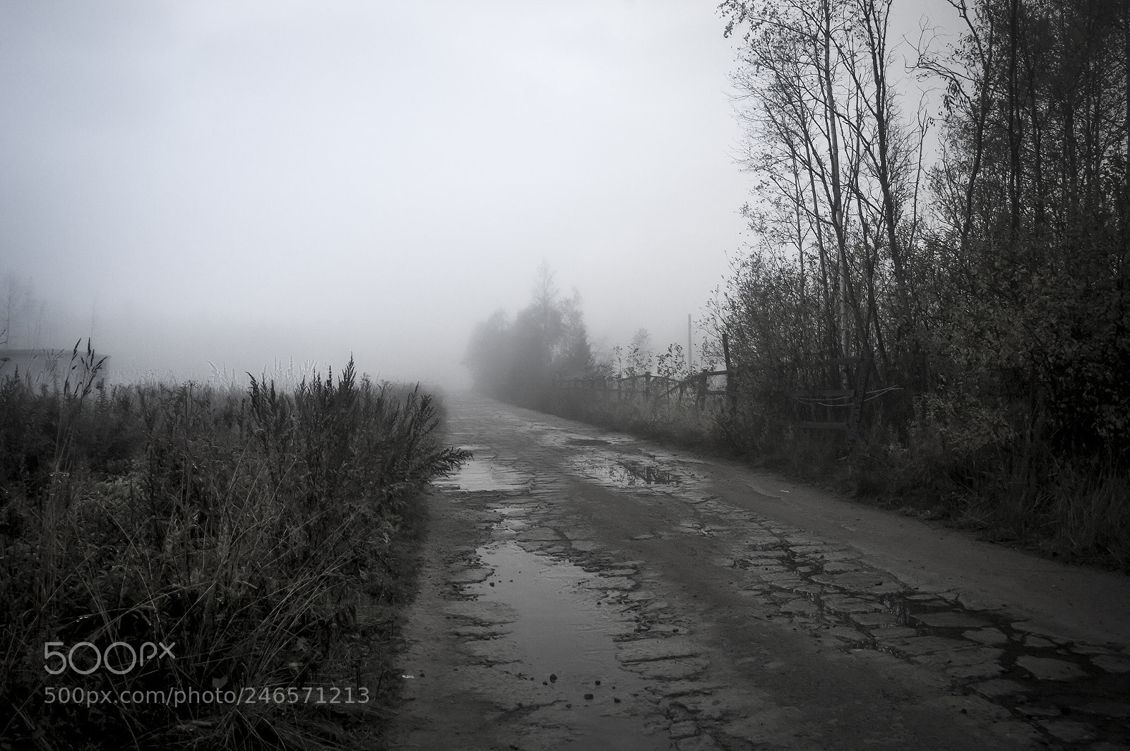 Nikon D3200 sample photo. Melancholy photography