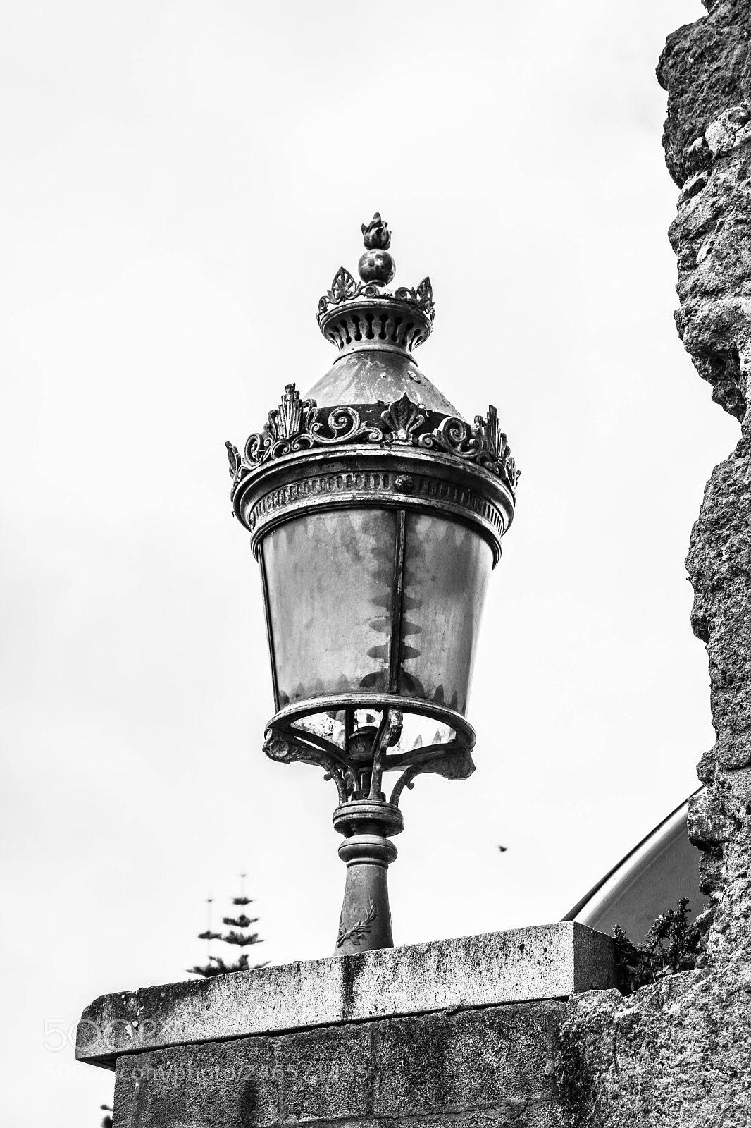 Canon EOS 750D (EOS Rebel T6i / EOS Kiss X8i) sample photo. Crown of light photography