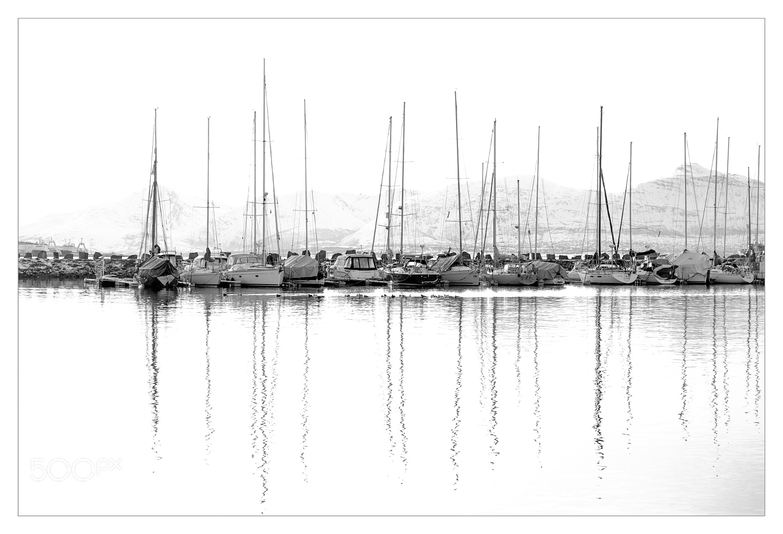 Nikon D610 sample photo. Tromsø harbour photography