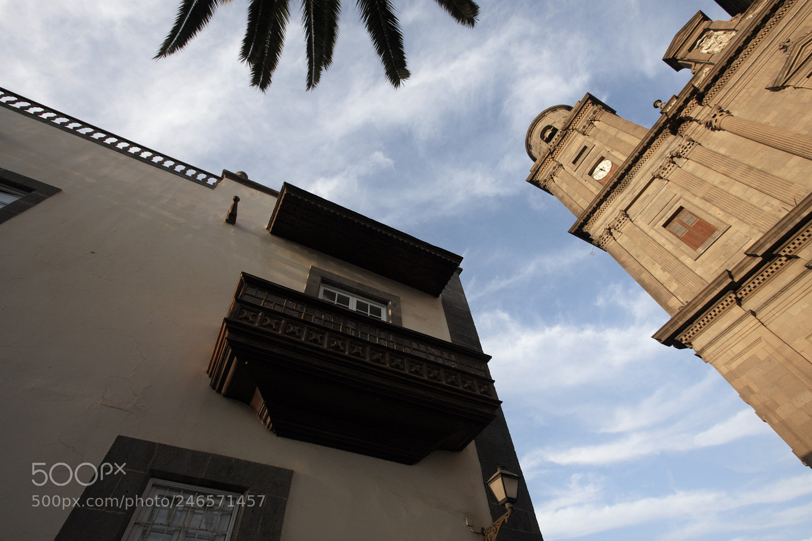 Canon EOS 40D sample photo. Looking up photography