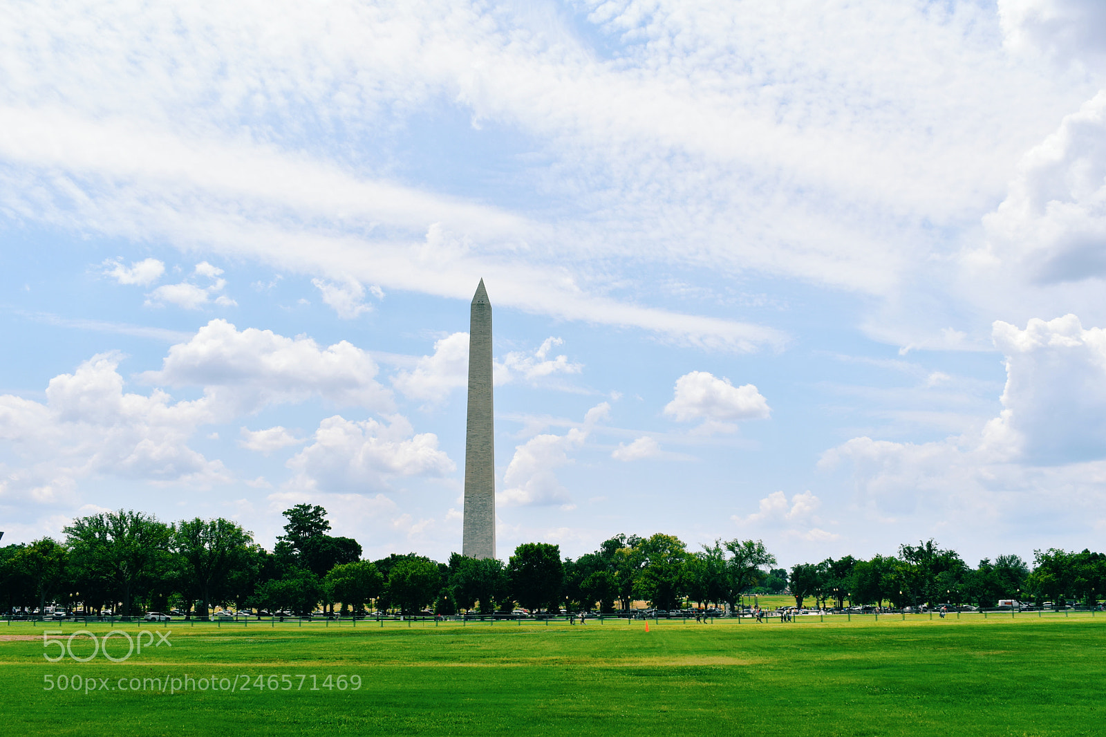 Nikon D5600 sample photo. Washington monument photography