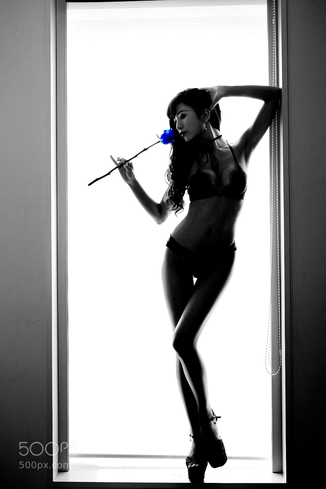 Fujifilm X-T2 sample photo. Blue rose photography
