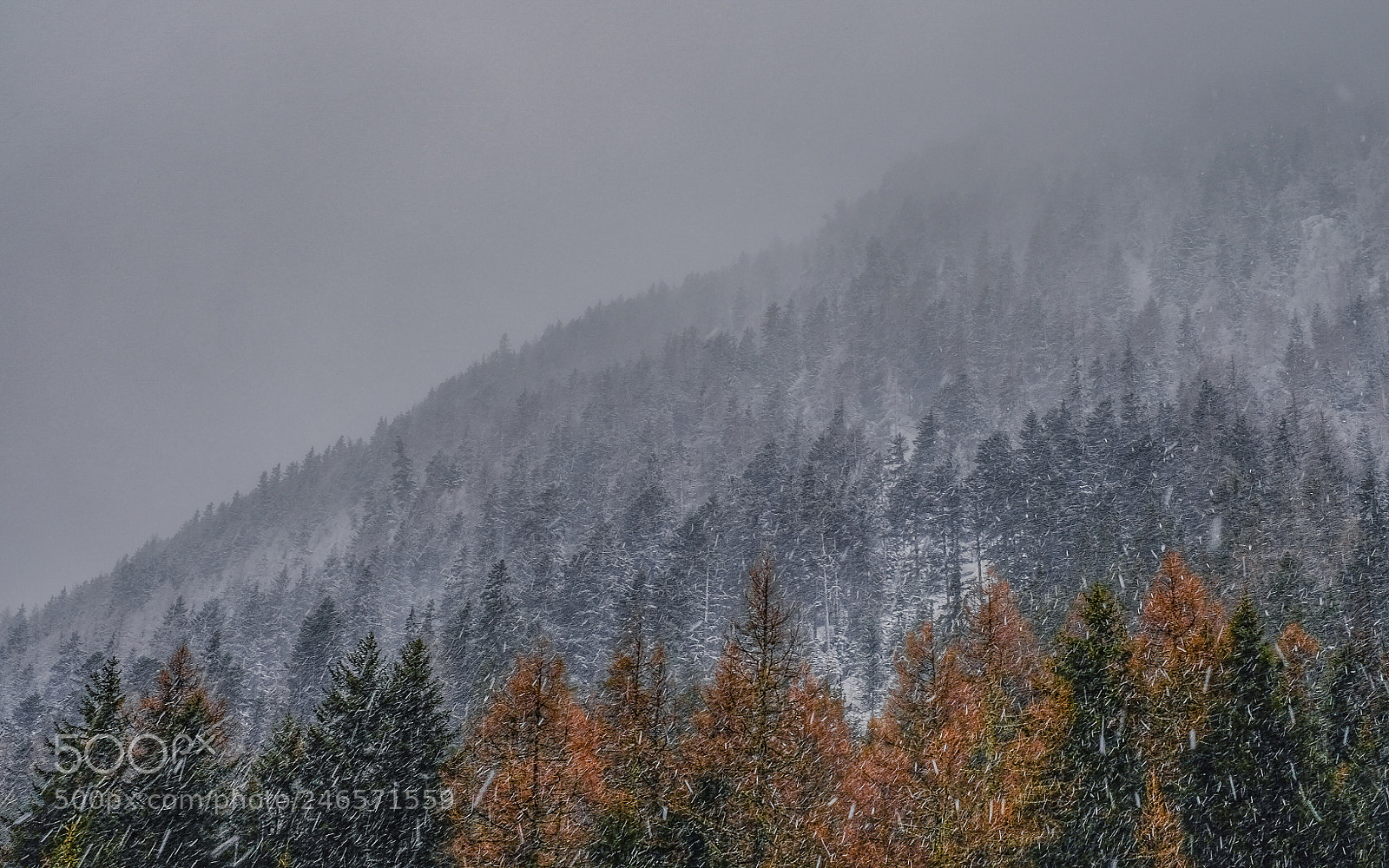 Fujifilm X-T10 sample photo. Snowing photography