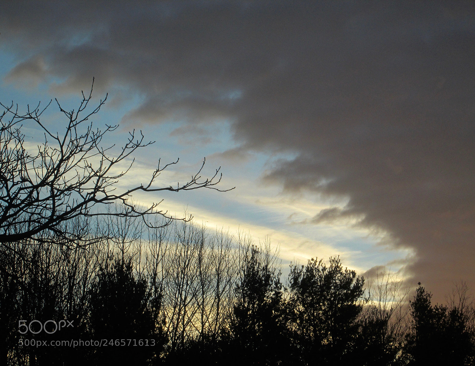 Canon PowerShot A2300 sample photo. Winter sky photography
