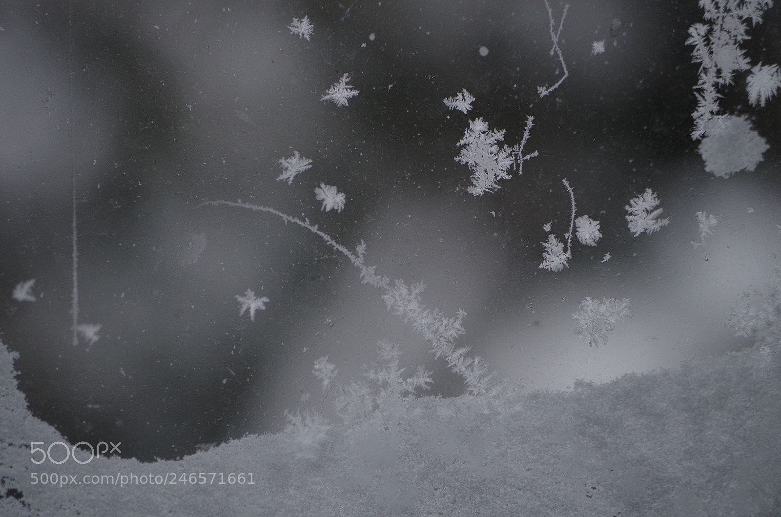 Pentax K-50 sample photo. Another ice crystal world photography