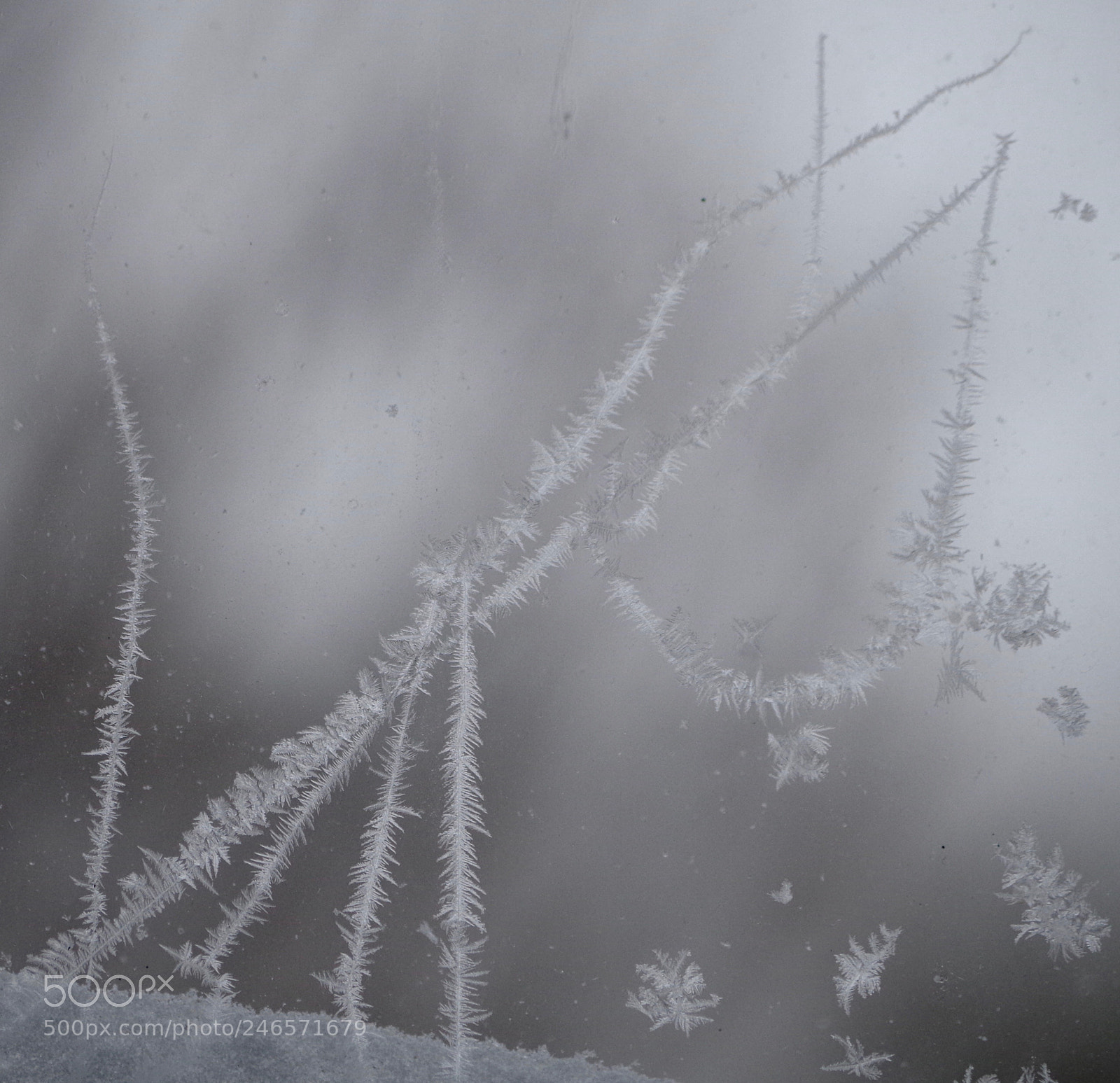 Pentax K-50 sample photo. Another ice crystal world photography