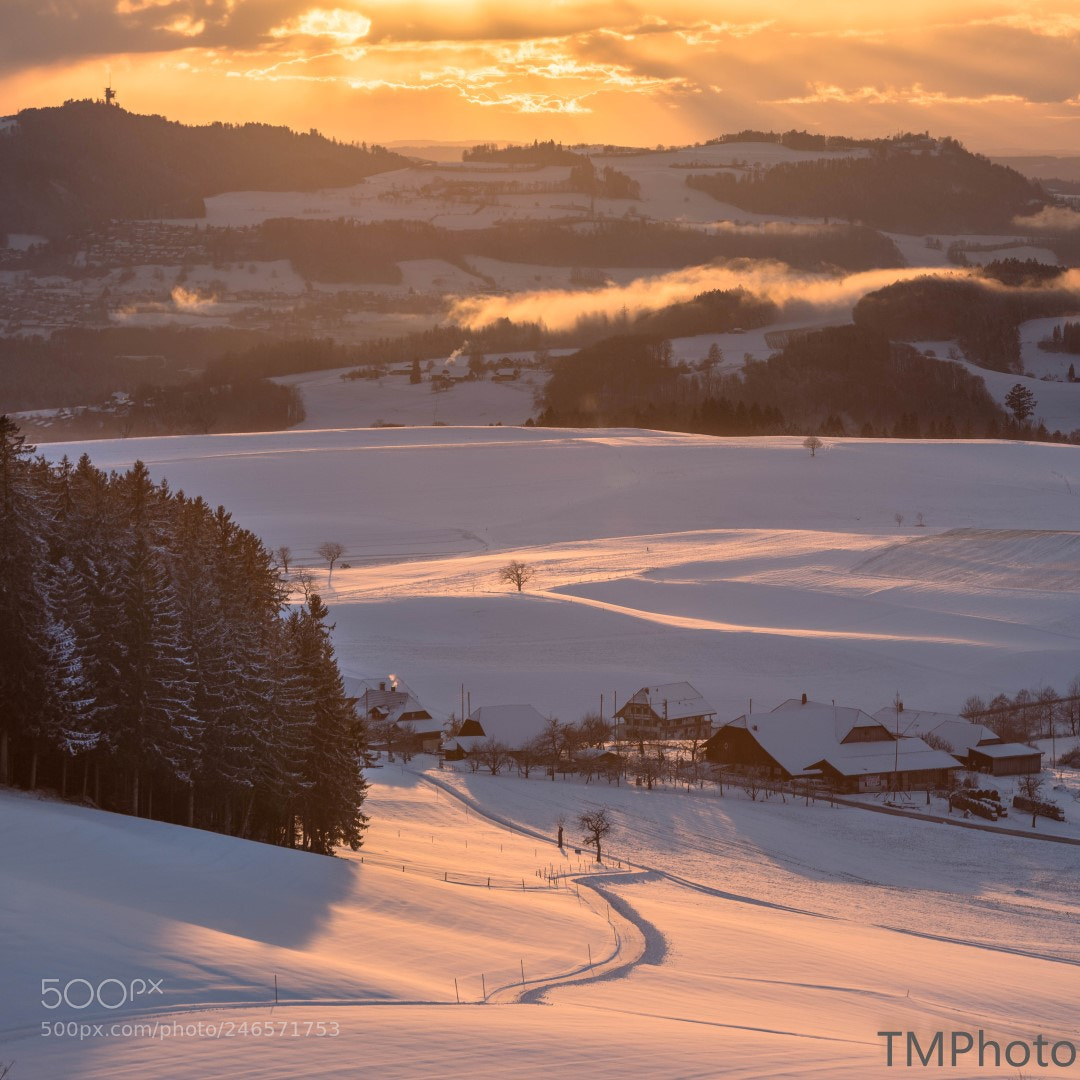 Nikon D810 sample photo. Golden landscape photography