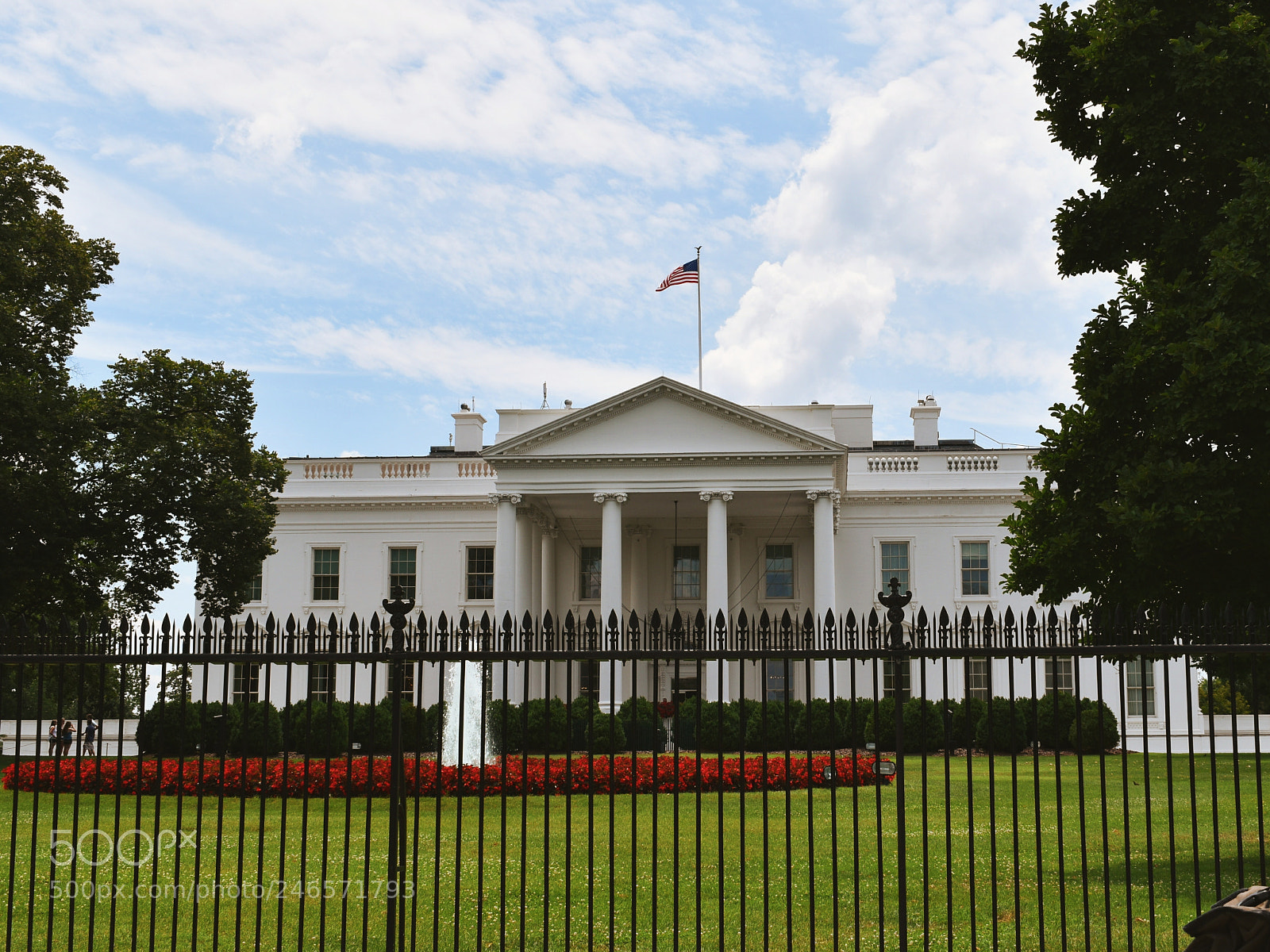 Nikon D5600 sample photo. White house photography