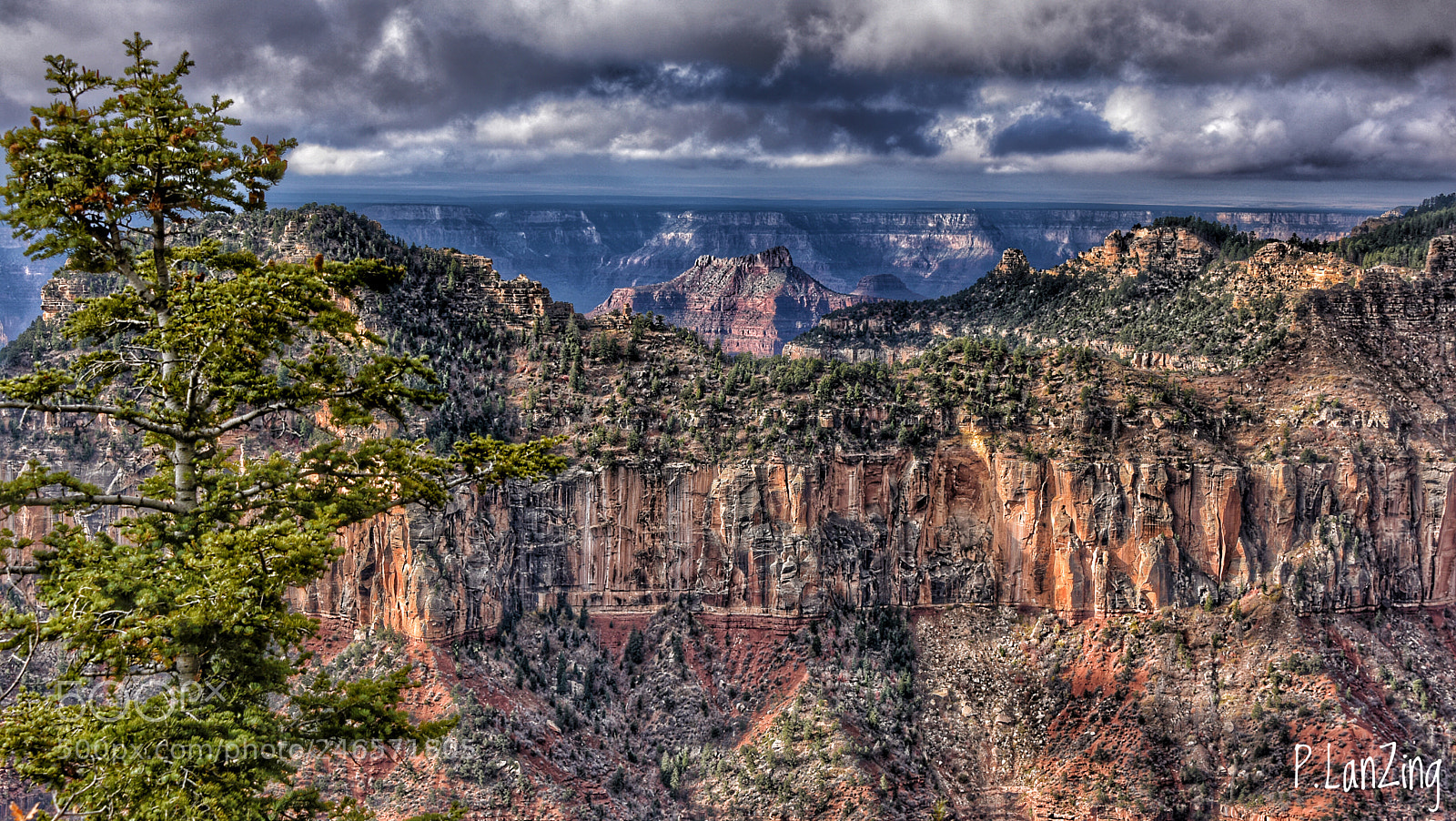 Nikon D810 sample photo. From the north rim photography