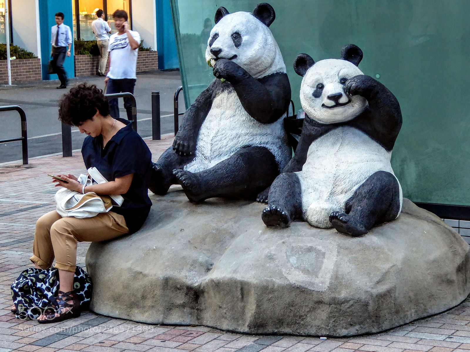 Panasonic Lumix DMC-ZS50 (Lumix DMC-TZ70) sample photo. Two pandas and a photography