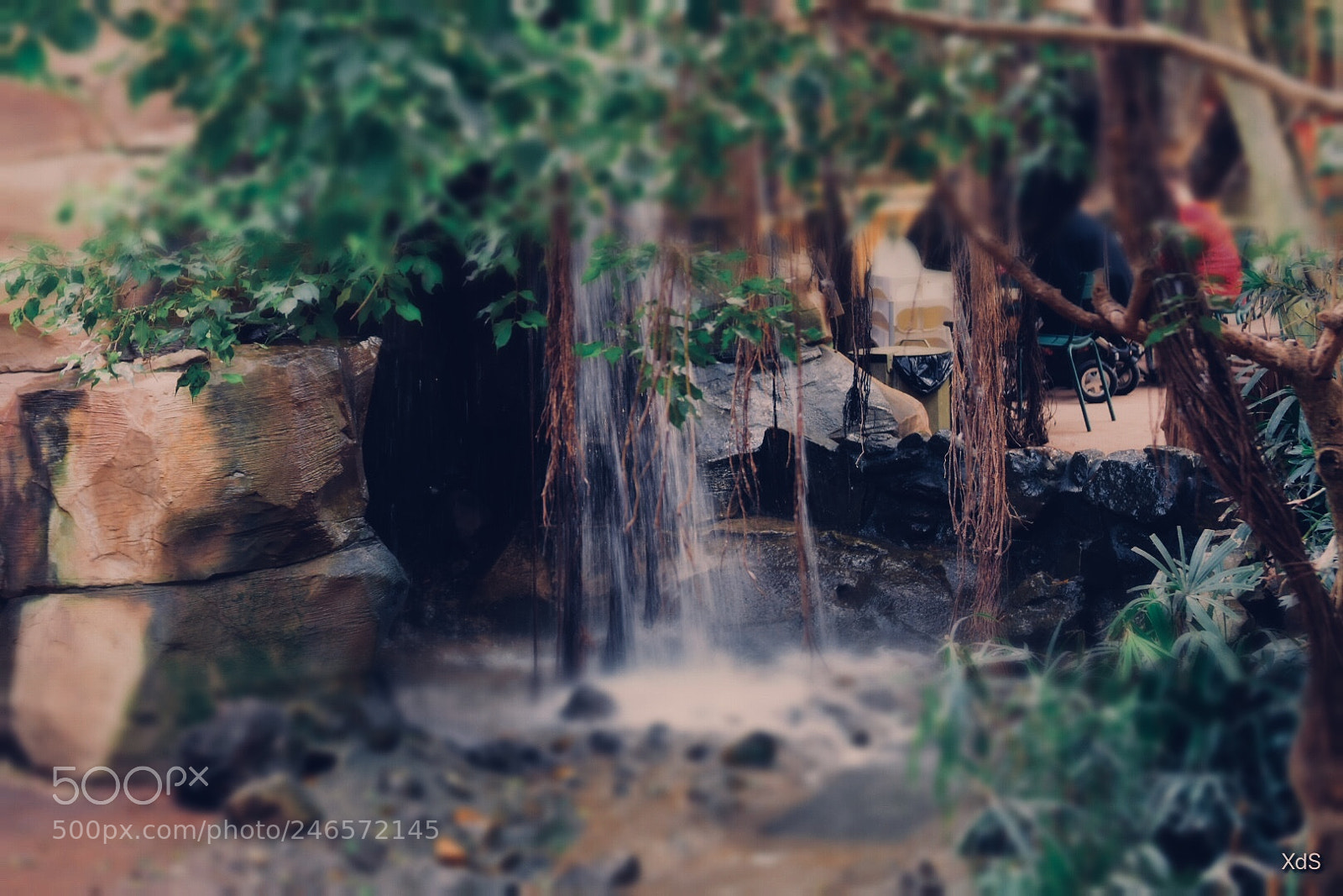 Nikon D3400 sample photo. Untitled photography