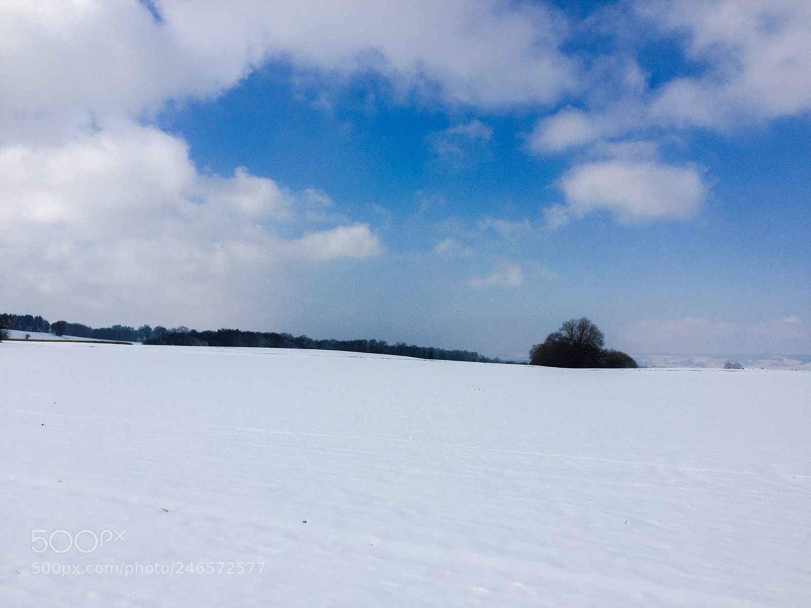 Apple iPhone 6 sample photo. Snowy day in bavaria photography