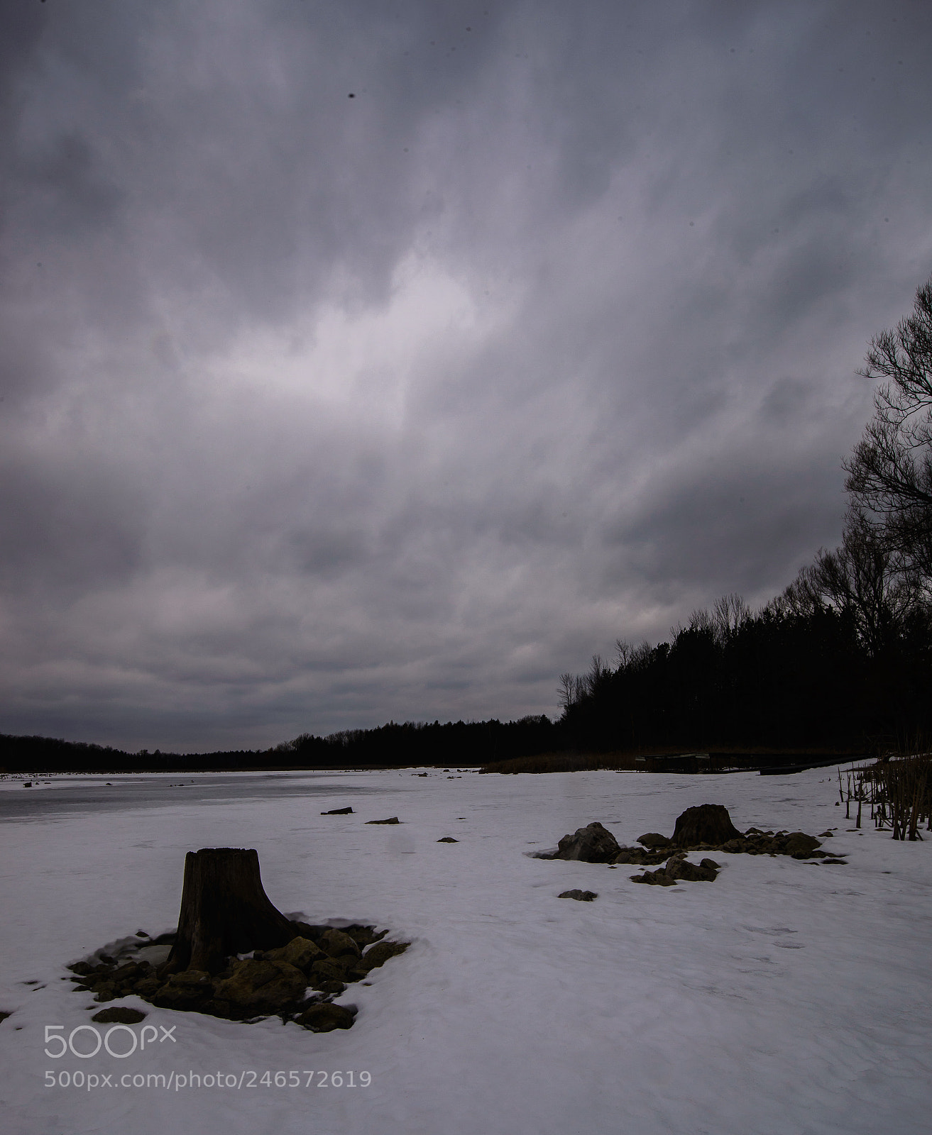 Nikon D610 sample photo. Valens photography