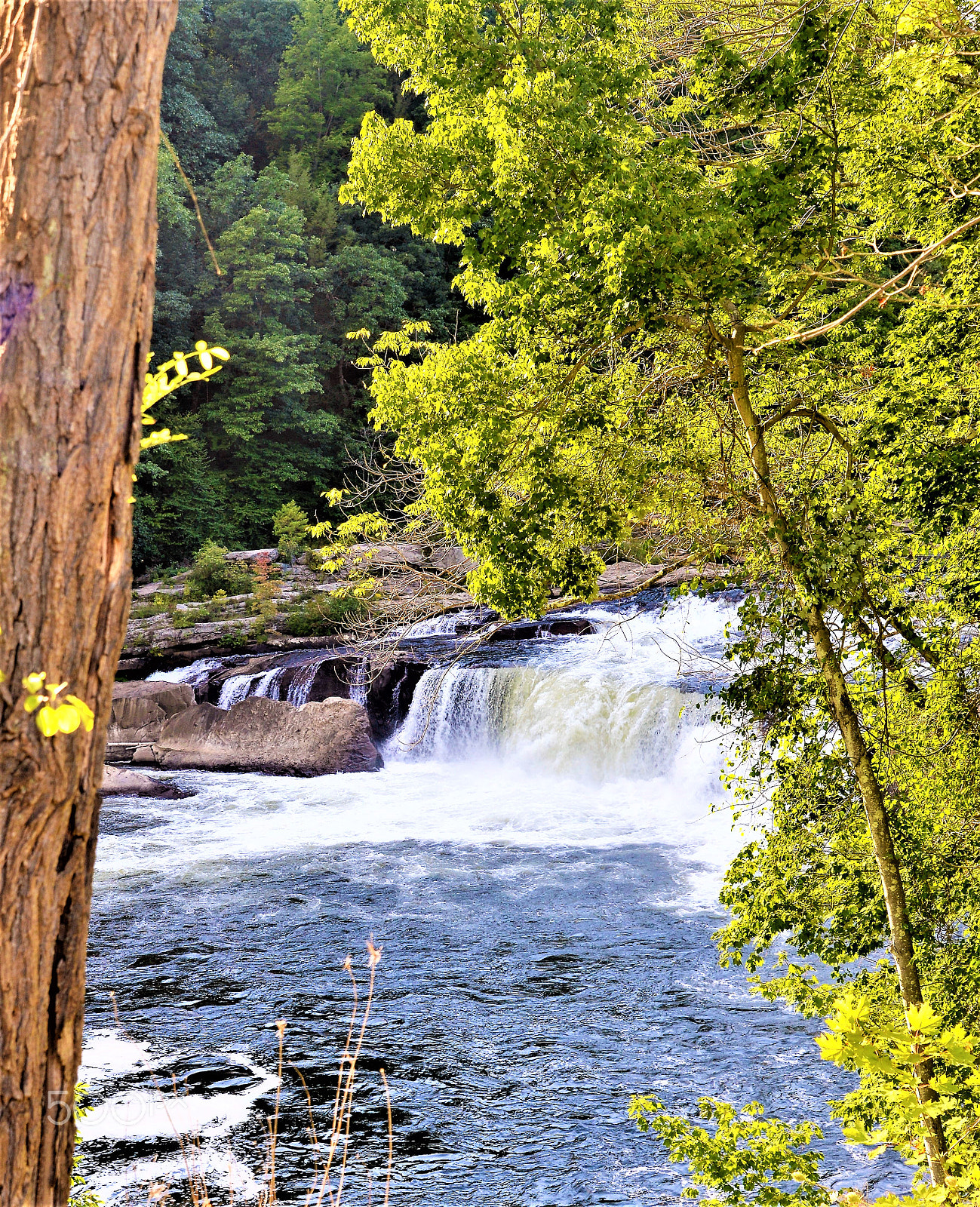 Nikon D610 sample photo. Escapes photography