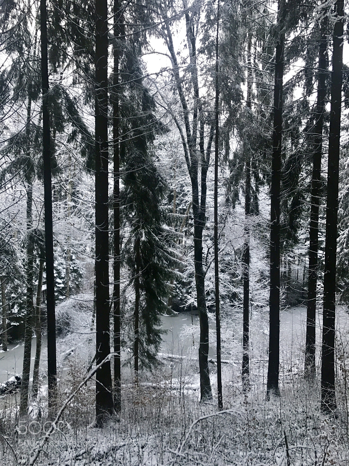 Apple iPhone 7 sample photo. Untitled photography