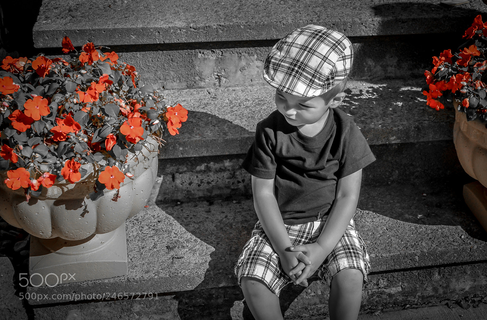 Nikon D5100 sample photo. Just hangin out photography