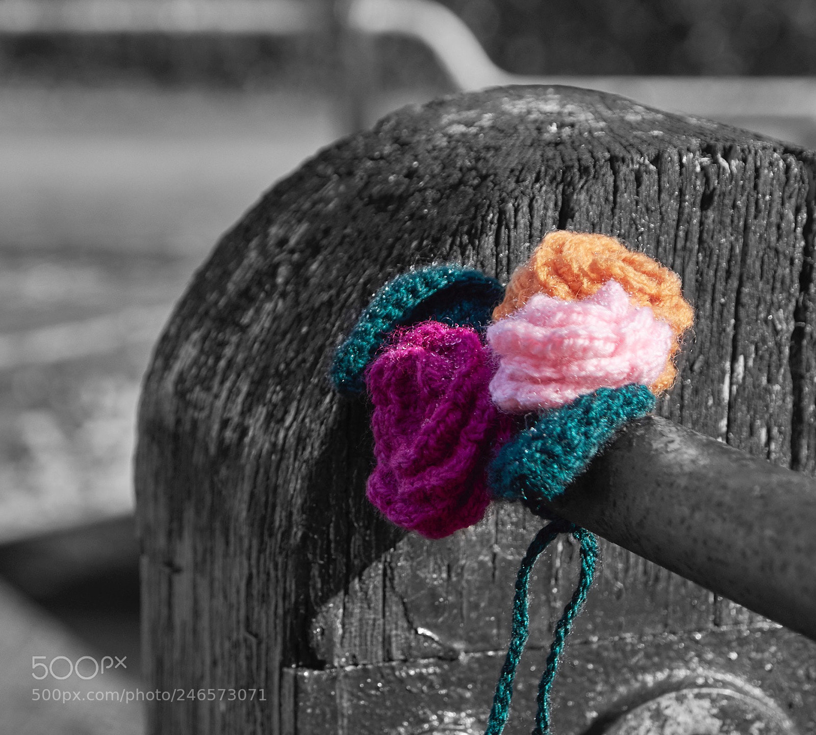 Nikon D7200 sample photo. Colour splash photography