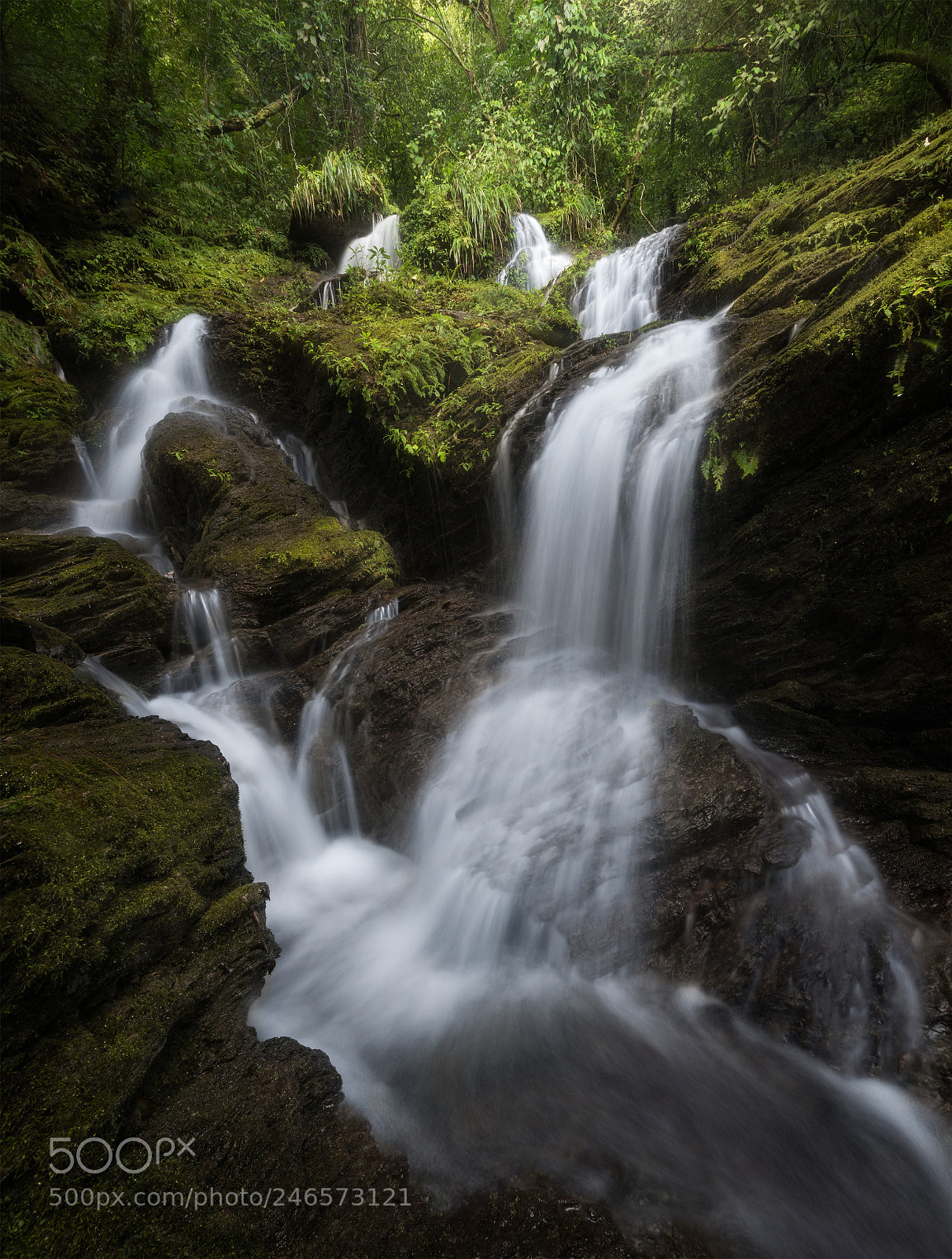Nikon D810 sample photo. Sierra de juarez waterfall photography