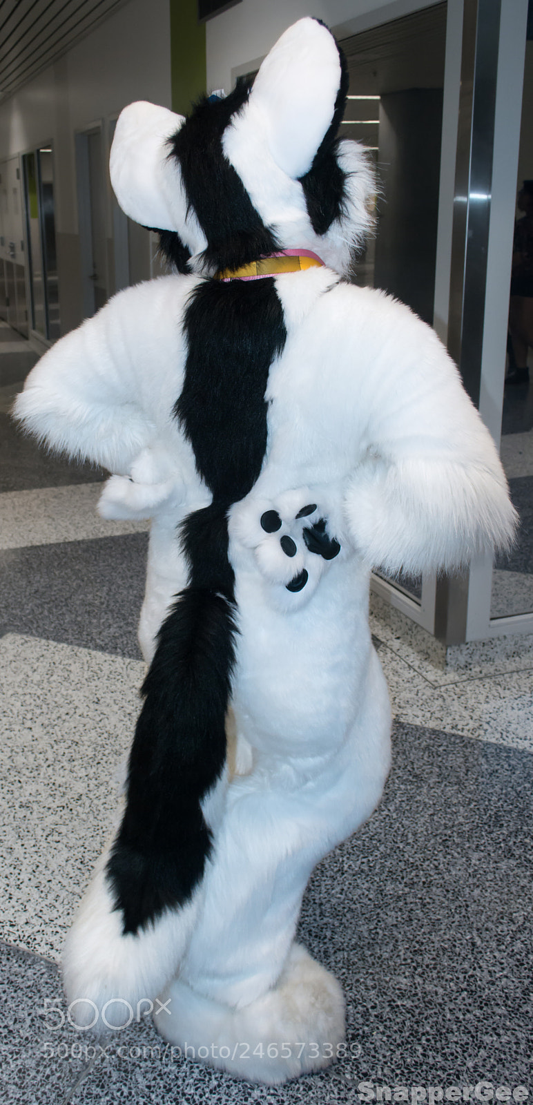 Nikon D7100 sample photo. Liska vixen showin stripe photography