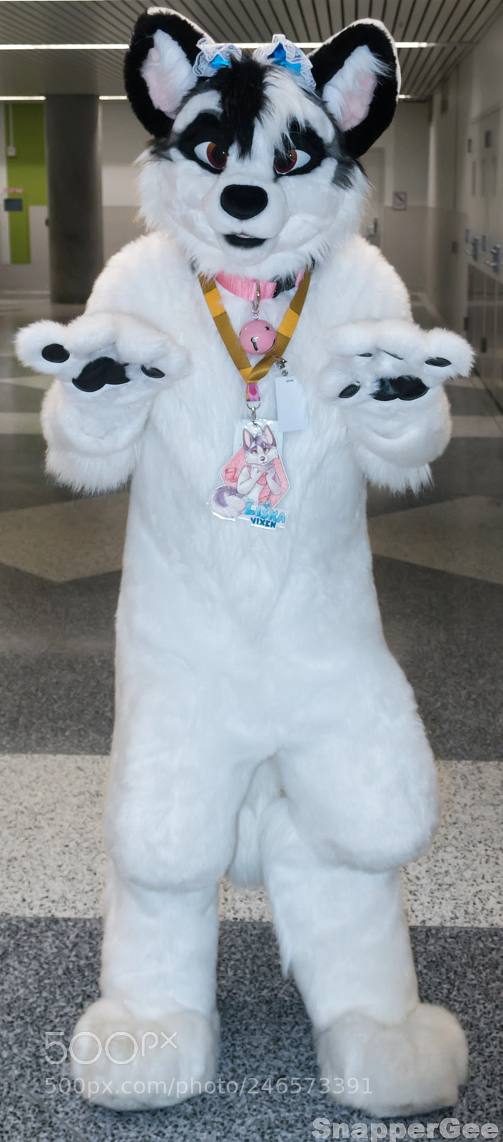 Nikon D7100 sample photo. The vixen's paws photography