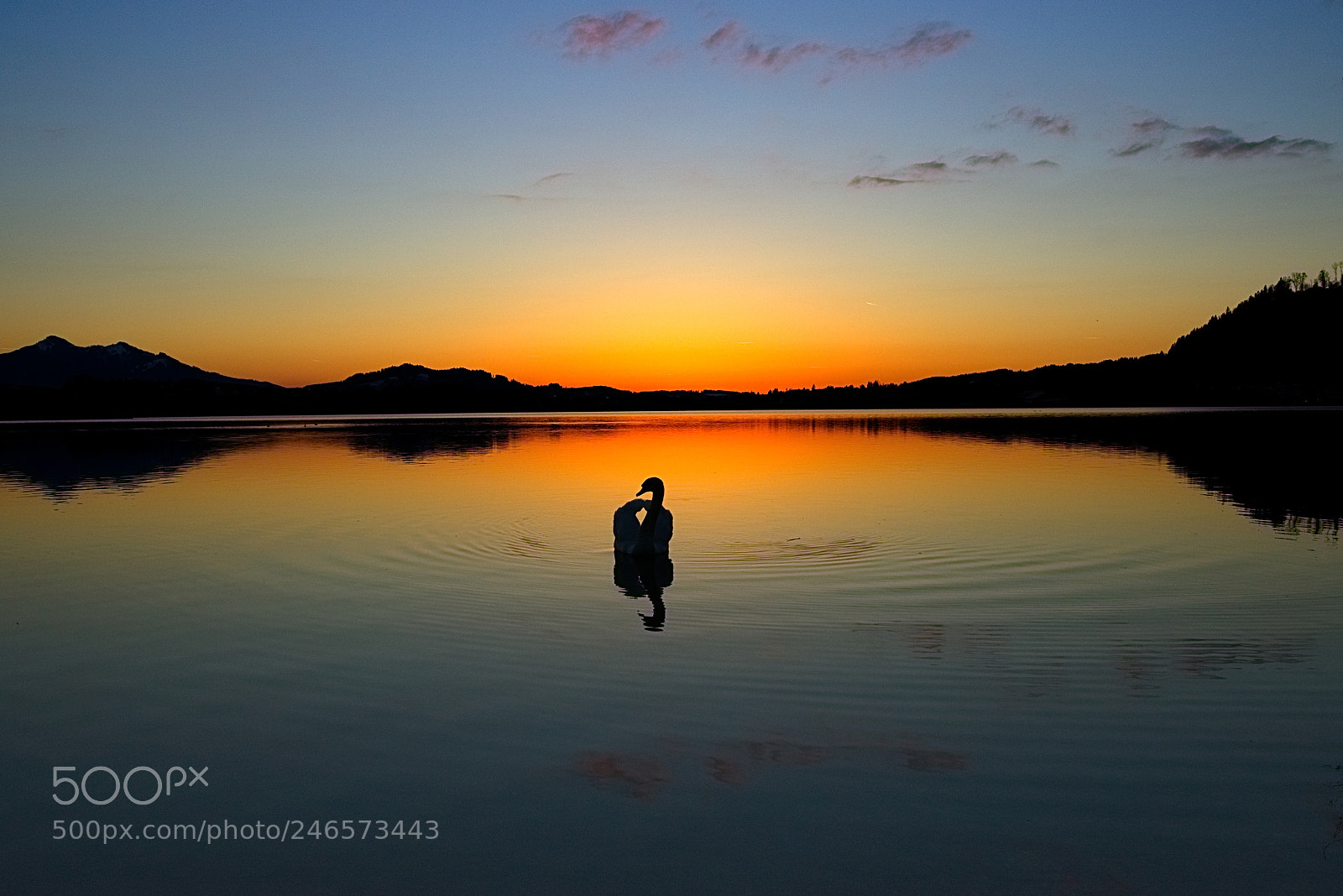 Sony a7 sample photo. Goldene stunde am hopfensee photography