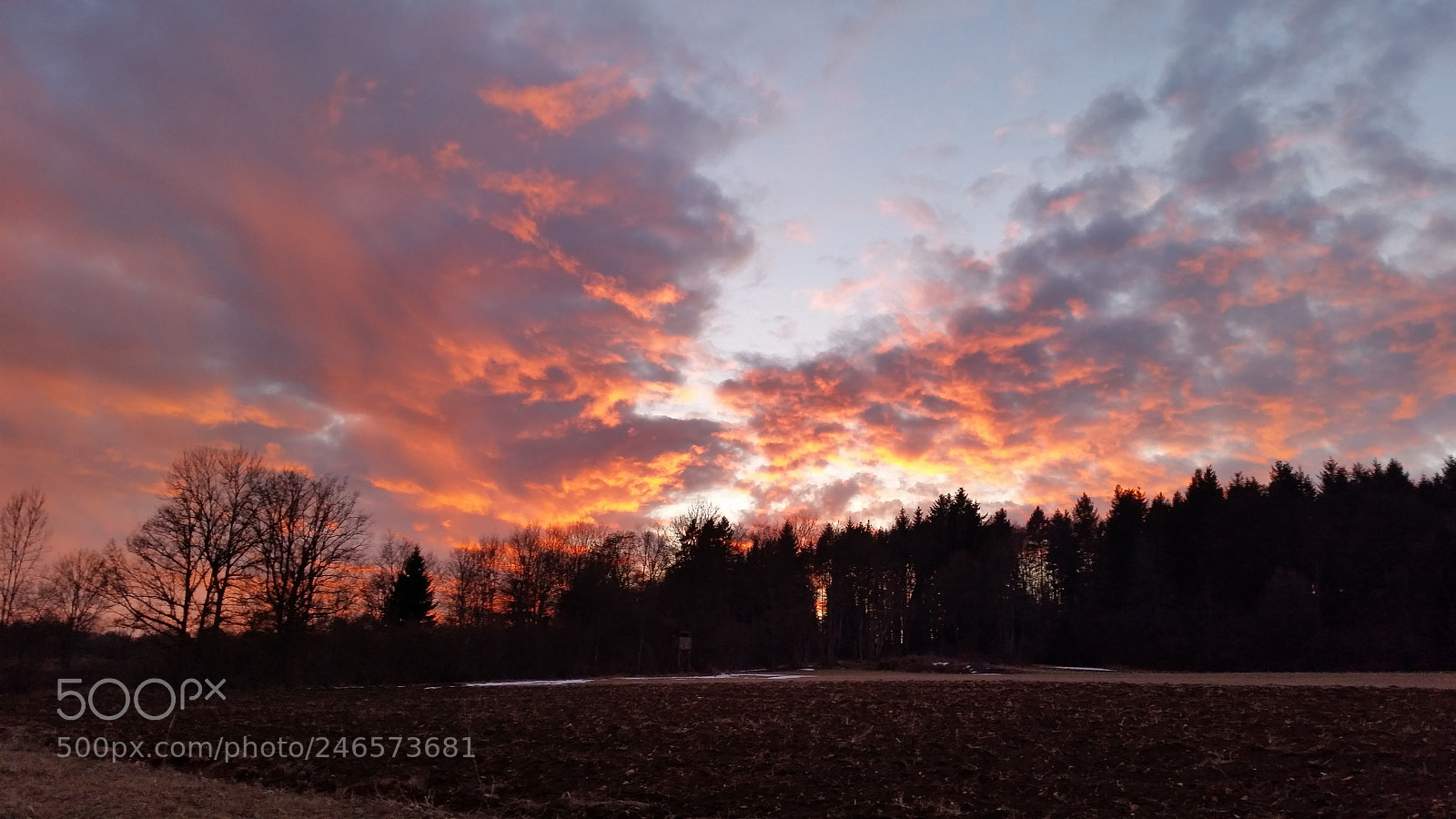 Samsung Galaxy S5 sample photo. The sky is burning photography