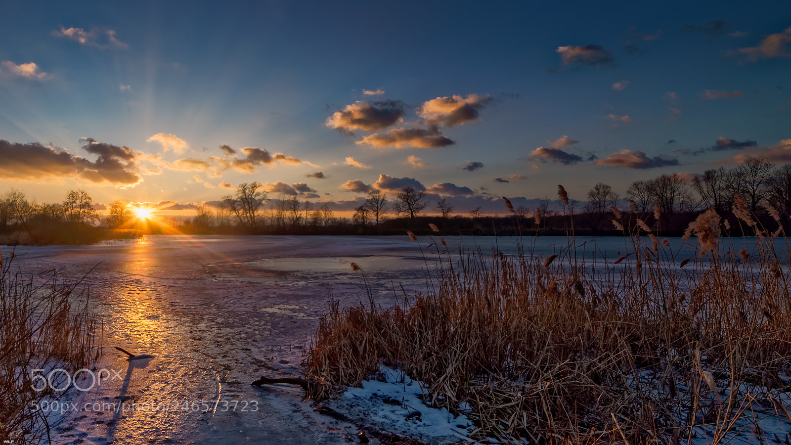 Nikon D610 sample photo. Winter sunset in otwock photography