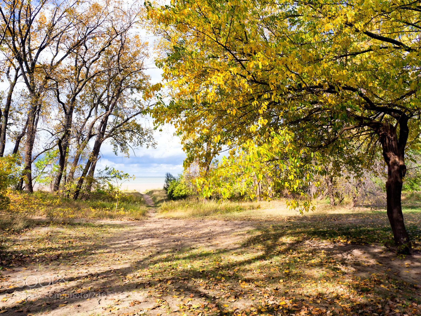 Olympus OM-D E-M10 II sample photo. The path to the photography