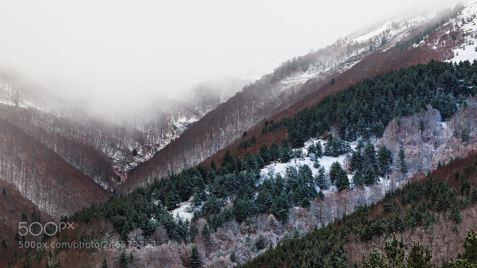 Canon EOS 6D Mark II sample photo. Invierno y oto o photography