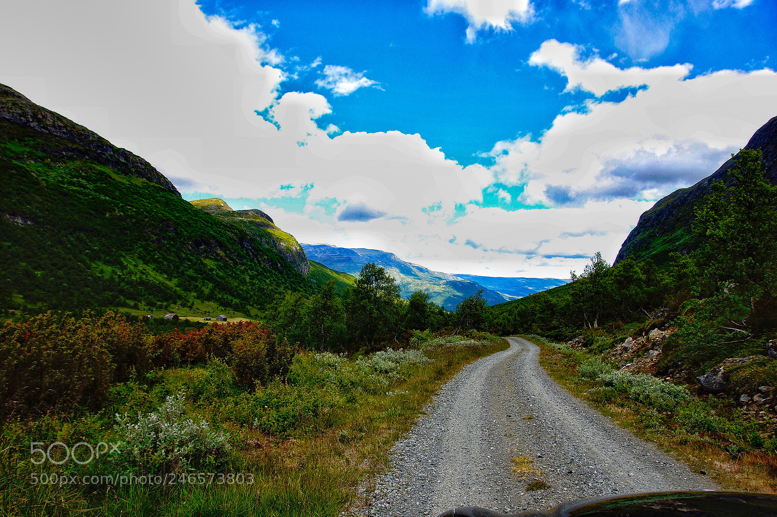 Sony SLT-A77 sample photo. Just norway photography