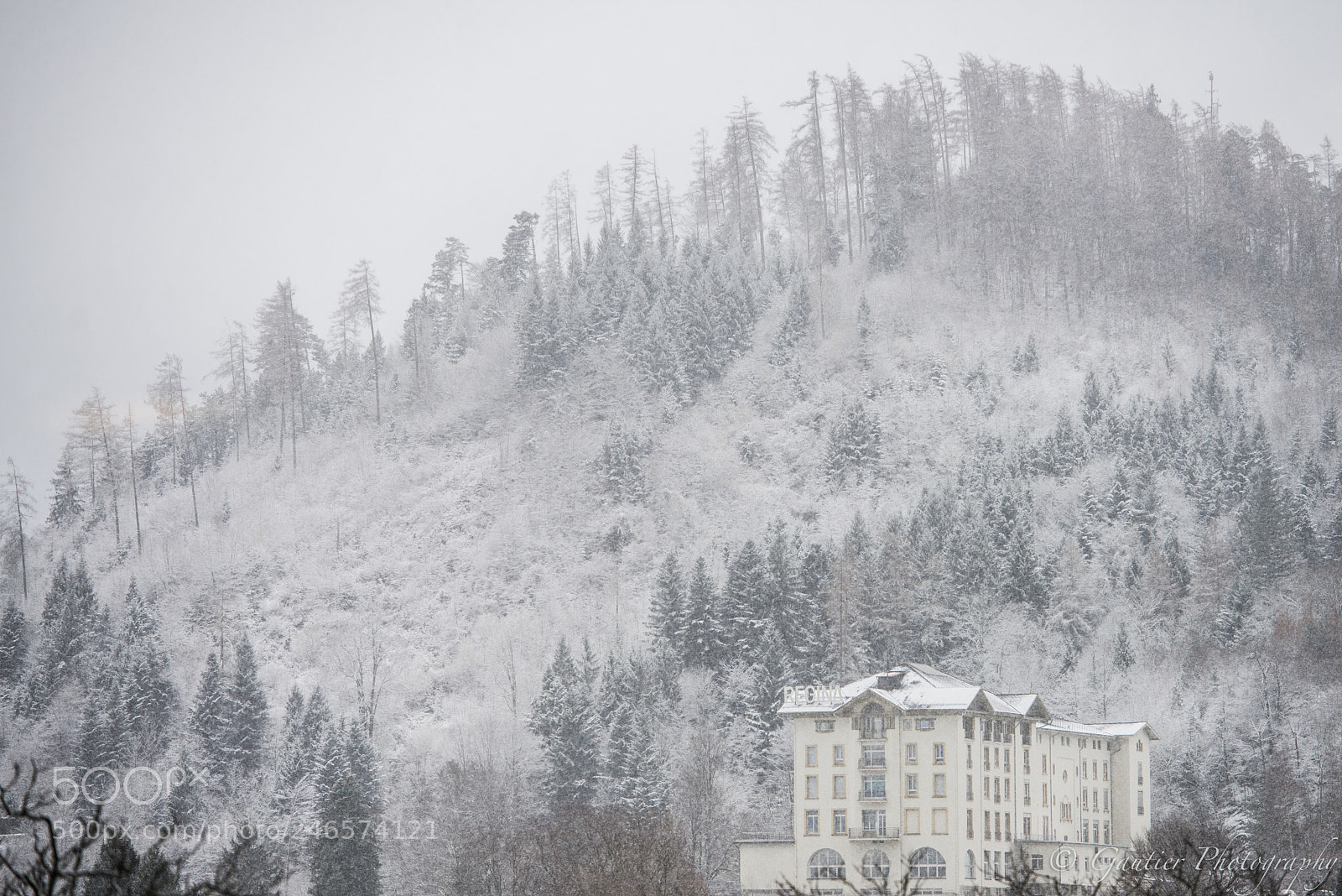 Nikon D610 sample photo. Jungfrauregion photography