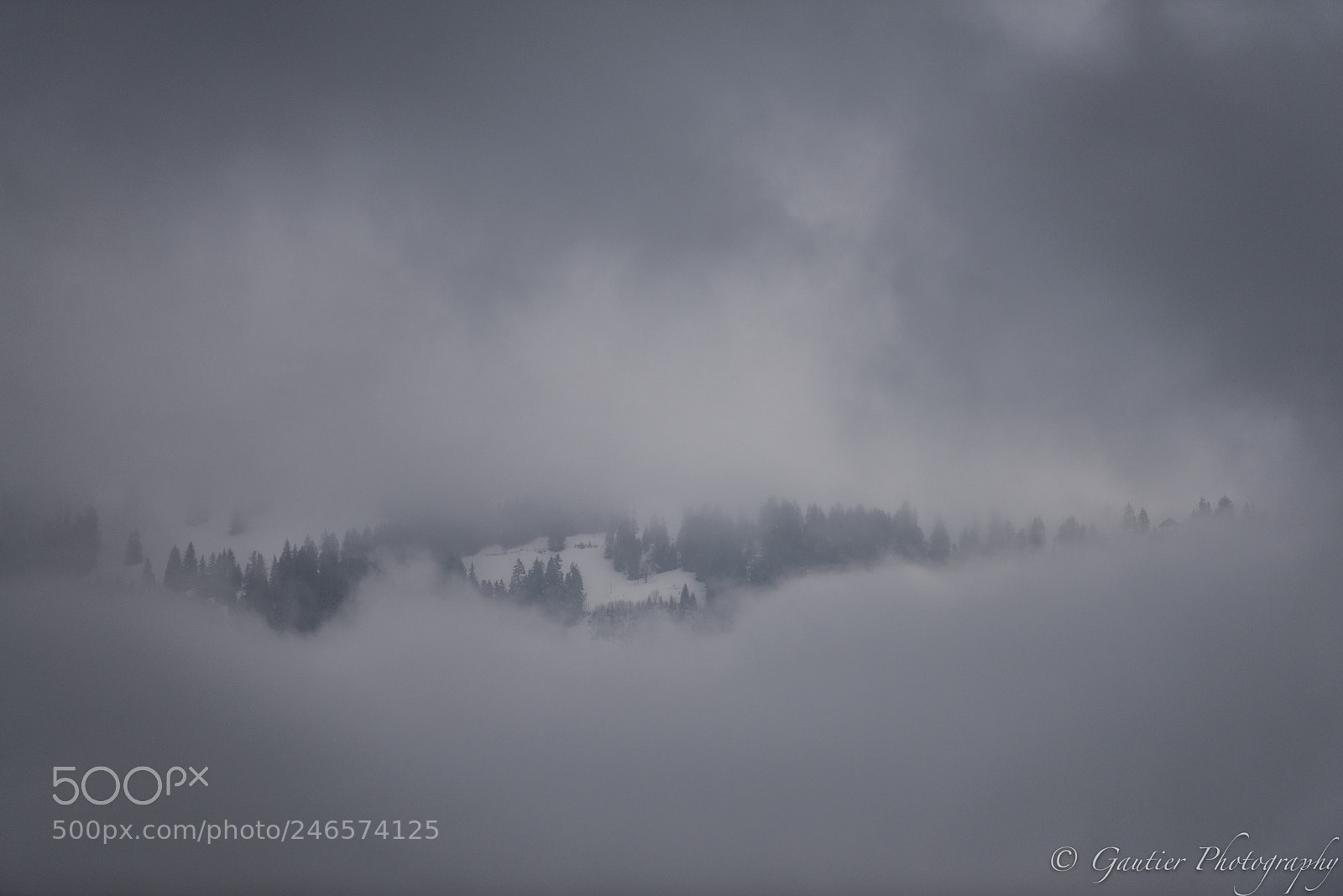 Nikon D610 sample photo. Jungfrauregion photography