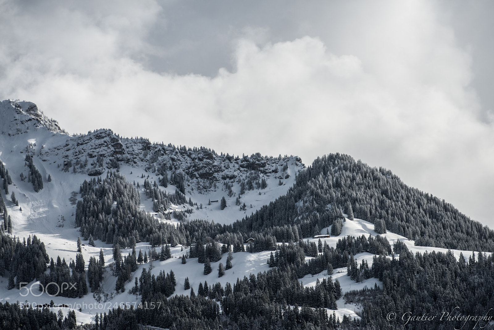 Nikon D610 sample photo. Jungfrauregion photography