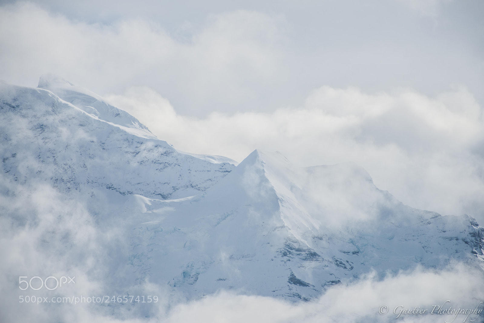 Nikon D610 sample photo. Jungfrauregion photography