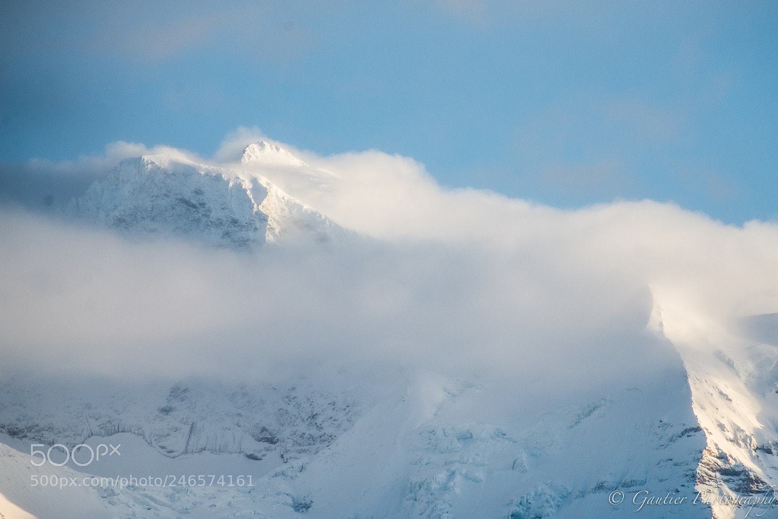 Nikon D610 sample photo. Jungfrauregion photography