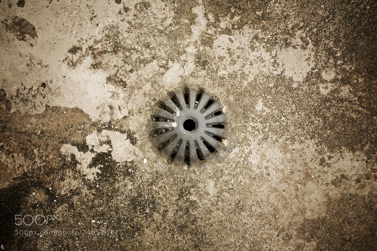 Canon EOS 5D sample photo. Untitled photography