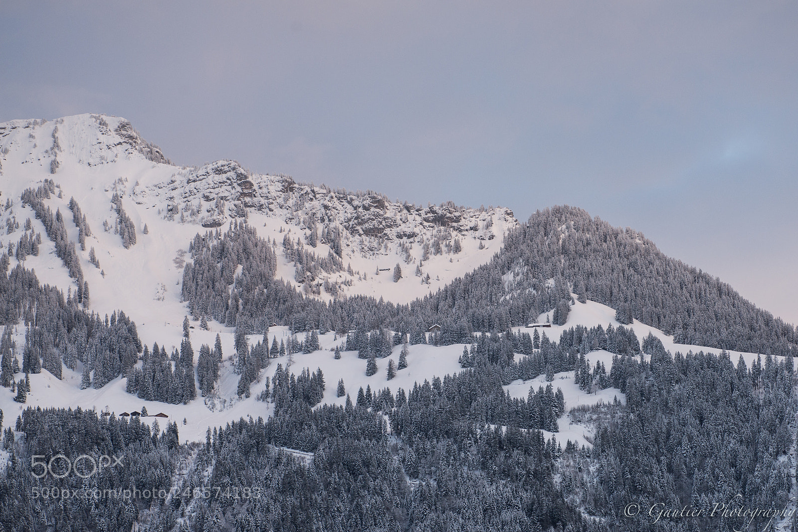Nikon D610 sample photo. Jungfrauregion photography