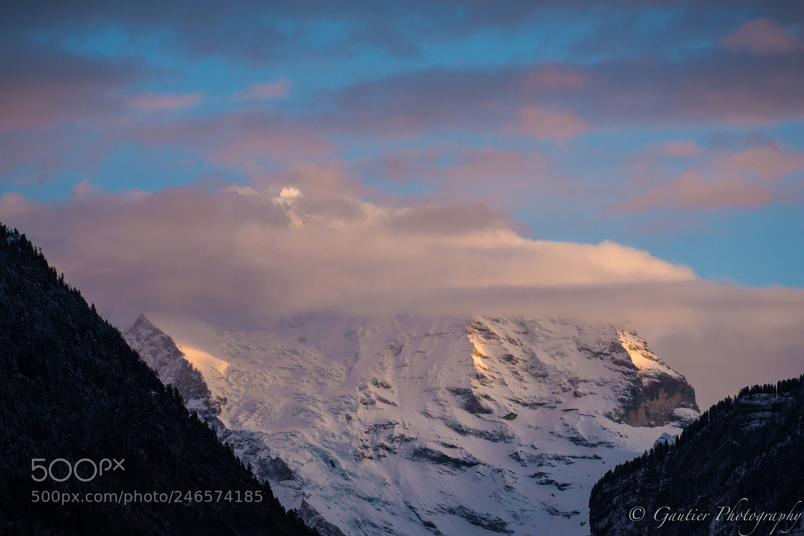 Nikon D610 sample photo. Jungfrauregion photography