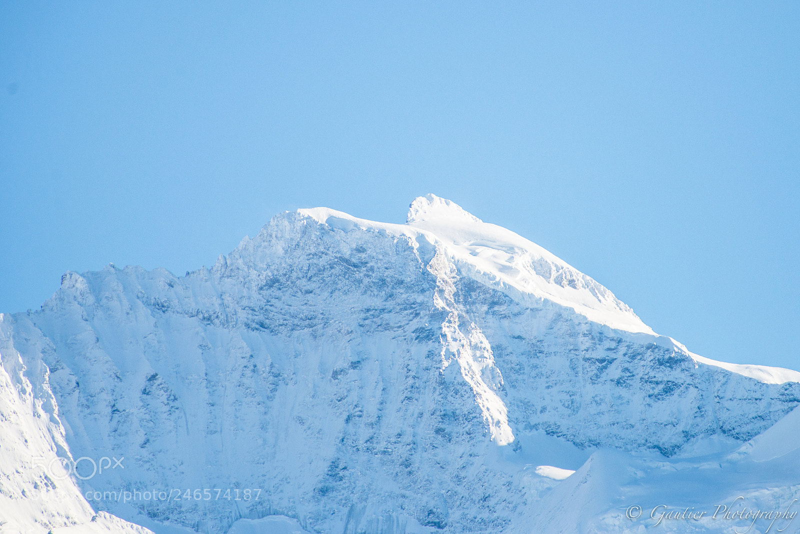 Nikon D610 sample photo. Jungfrauregion photography