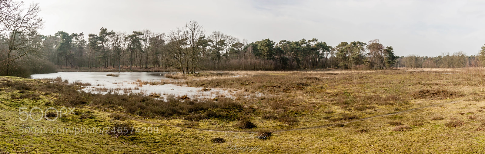 Canon EOS 50D sample photo. Wintertime in the np photography