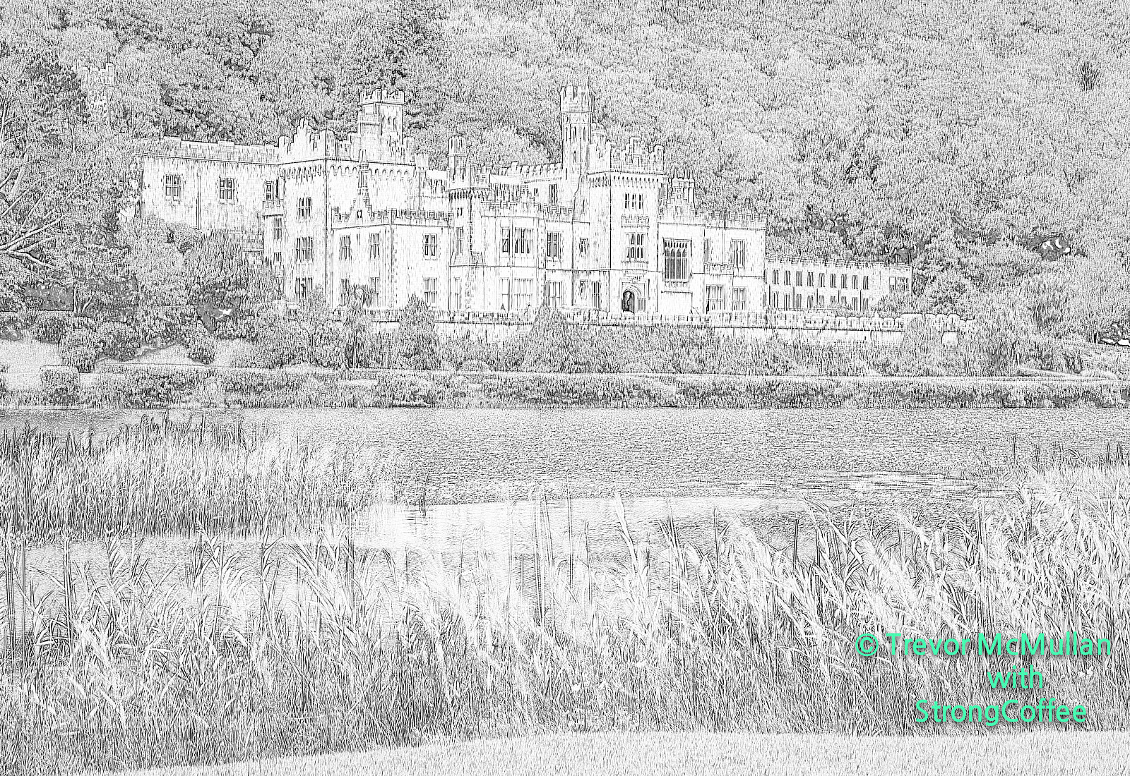 Nikon D800 sample photo. Kylemore abbey ireland photography