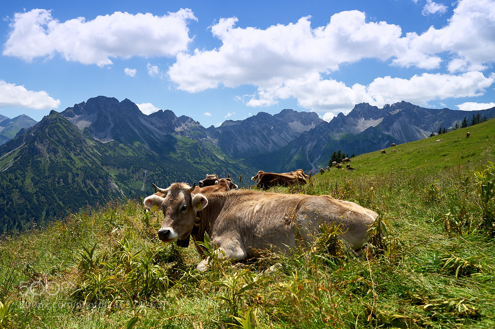 Sony a7 sample photo. Allgäuer berge photography