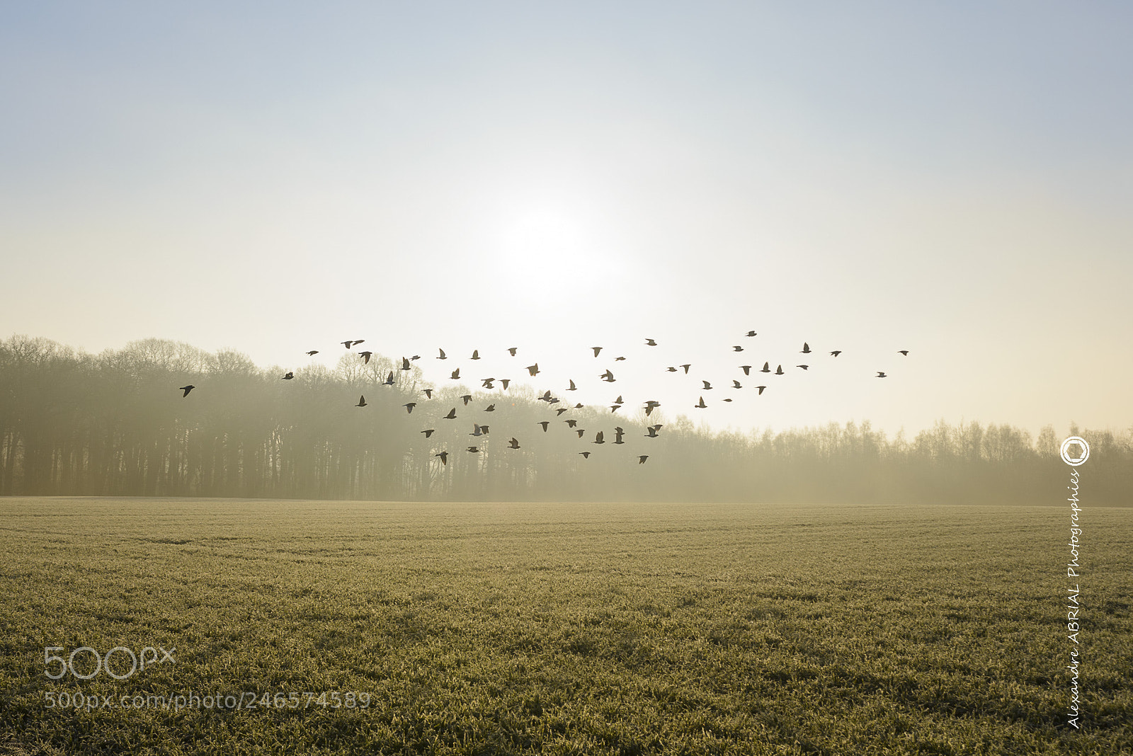 Nikon D800 sample photo. Close to my hometown photography