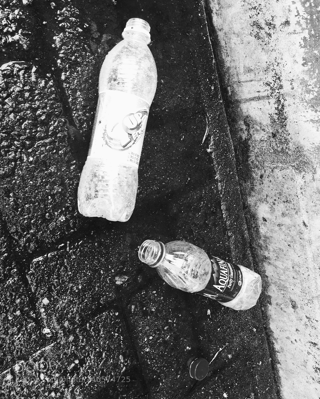 Apple iPhone 6s sample photo. Untitled photography