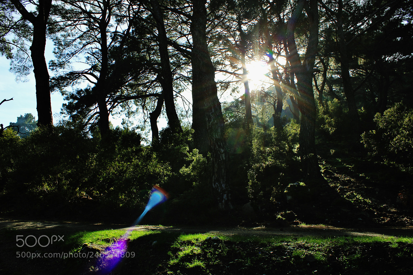 Canon EOS 550D (EOS Rebel T2i / EOS Kiss X4) sample photo. My sun photography
