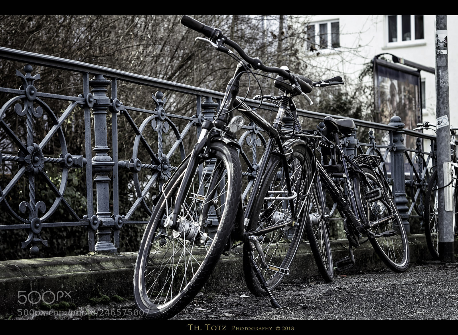 Olympus OM-D E-M1 sample photo. Cycles photography