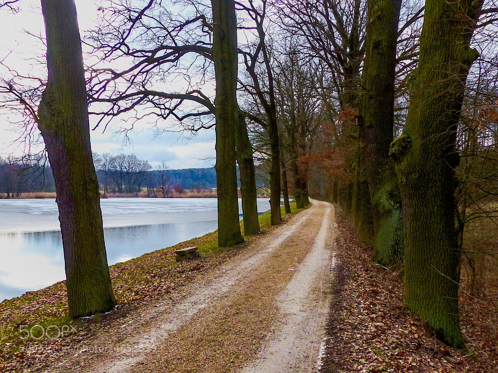 Panasonic Lumix DMC-FZ200 sample photo. Pond dam photography